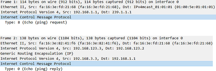 icmp-dmvpn-switch-underlay